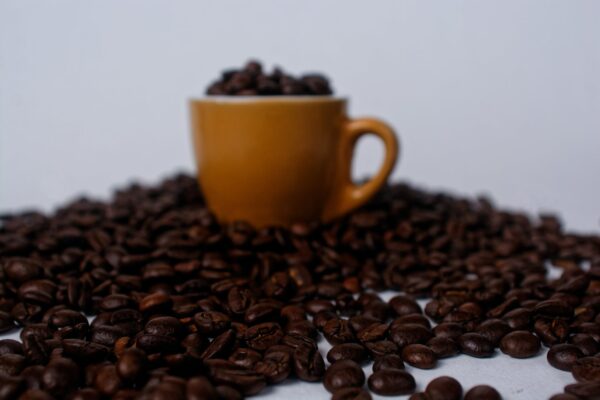 cà phê hữu cơ paxfarm